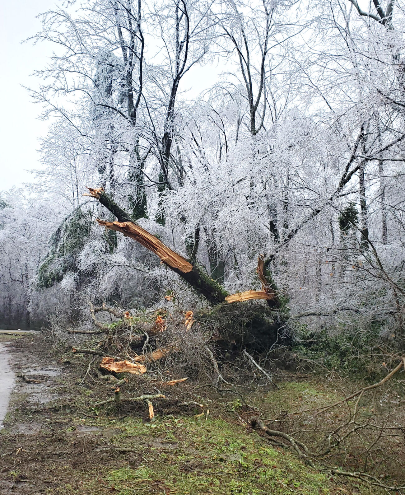 Highway 158.jpg